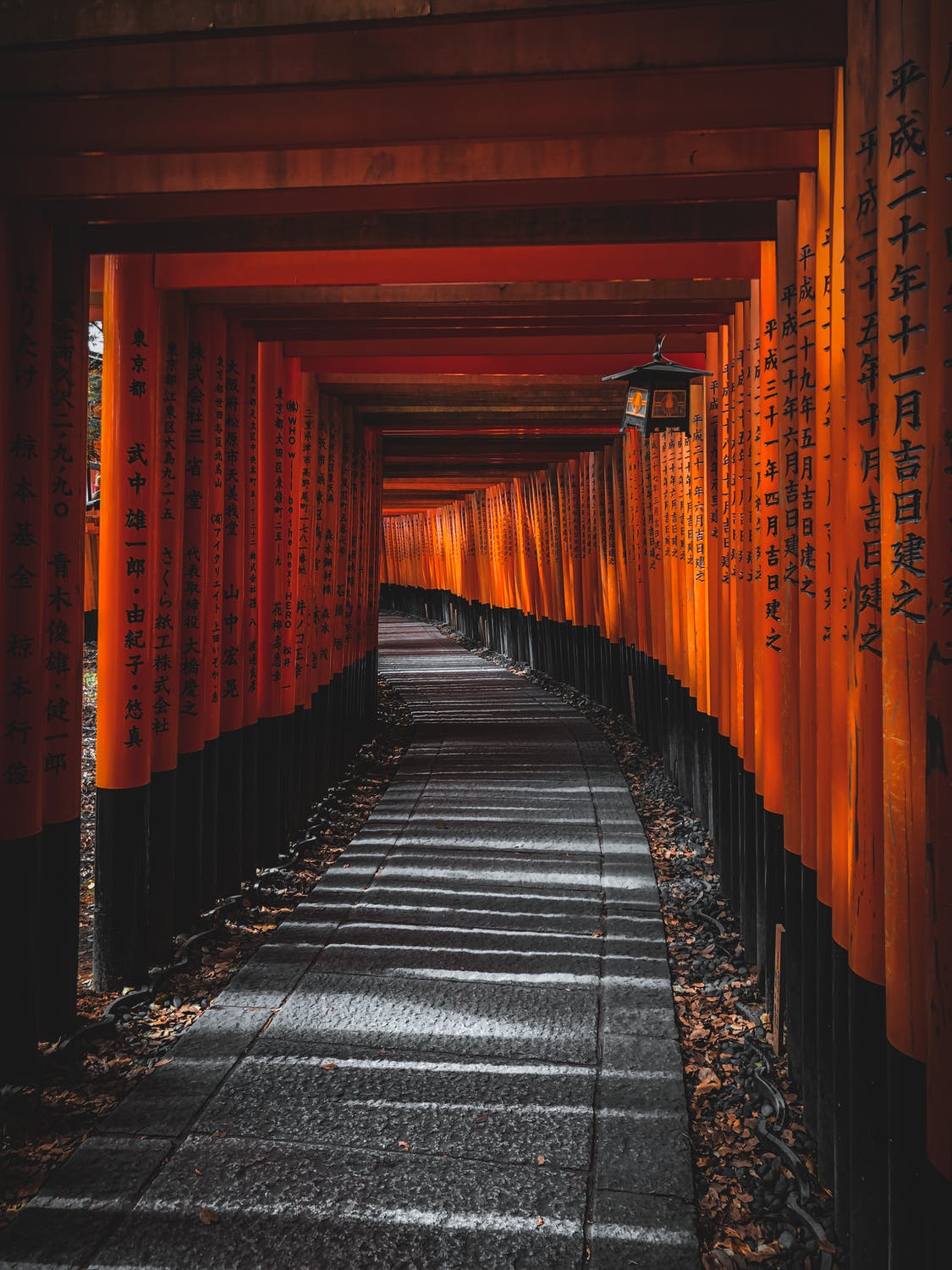 Torii Gates at Fushimi Inari Shrine